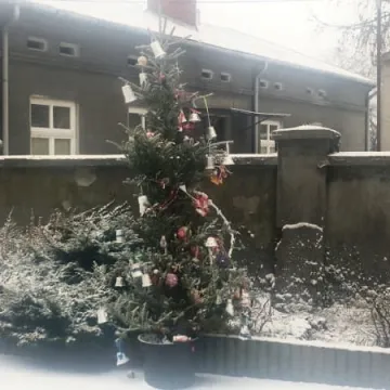 Konkurs na najładniejszą choinkę 