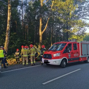 Bełchatowski policjant w drodze na służbę zareagował na zagrożenie