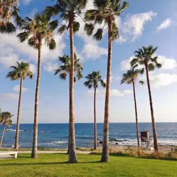 Cypryjska przygoda uczniów Ekonomika