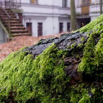 Plener fundacji FotoPozytyw