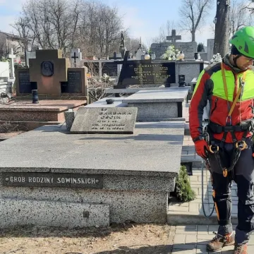 Pielęgnacja zabytkowej lipy