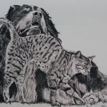 To jest rok Moniuszki