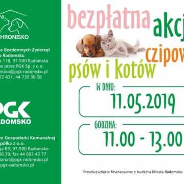 Bezpłatne czipowanie psów i kotów w Radomsku