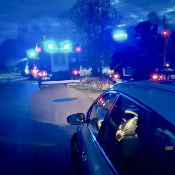 [WIDEO] Chciał ominąć zwierzę. Samochód wylądował w rzece