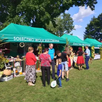 Tak obchodzono święto plonów w Kodrębie