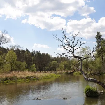 Era Travel na weekend: wyprawa do krainy bobra