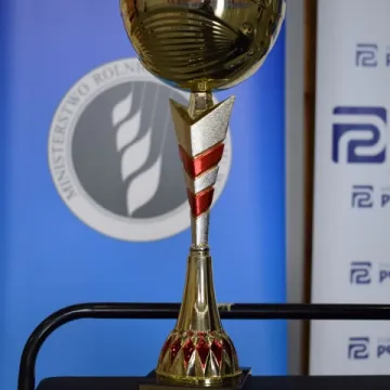 Liga 6 z Perspektywami