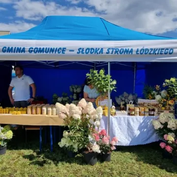 Słodka zabawa z miodem w Gomunicach