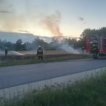 Pożar ścierniska w Wólce Pytowskiej