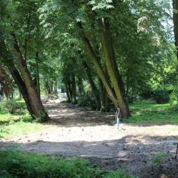 Postęp prac rewaloryzacyjnych w parku Świętojańskim [zdjęcia i film]