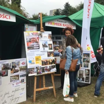 Jarmark Powiatowy 2018 w parku Solidarności