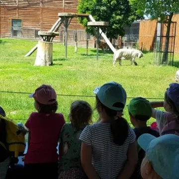 Przedszkolaki z przedszkola nr 9 w Radomsku wiedzą, jak dbać o środowisko