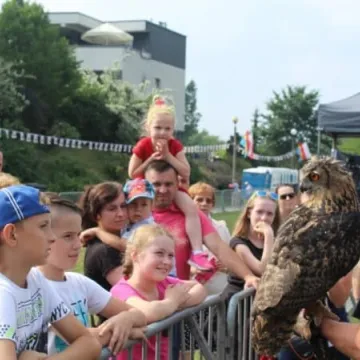 Dni Radomska 2018: Pokazy sokolnika