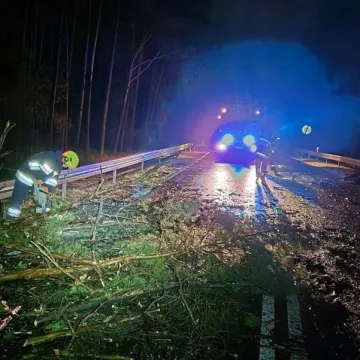 Silny wiatr w regionie. Strażacy usuwali połamane drzewa