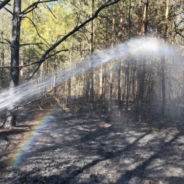 51 strażaków gasiło pożar lasu w miejscowości Borowa