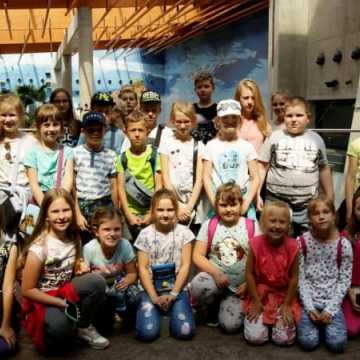 Wrocławskie atrakcje dla dzieci z Radomska