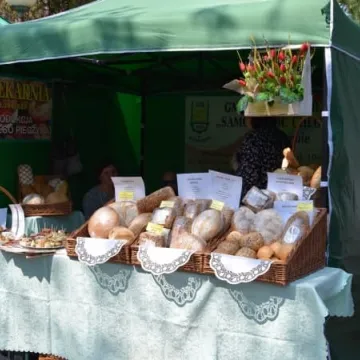 Food trucki opanowały plac 3 Maja