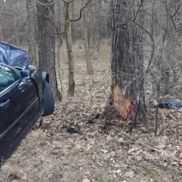 19-latek wjechał czołowo w drzewo