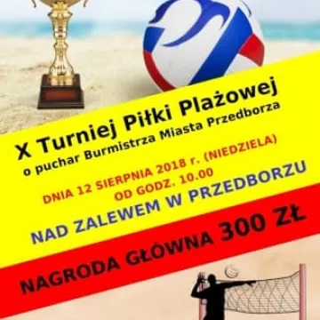 Turniej piłki plażowej w Przedborzu