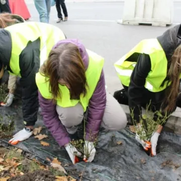 Róże na urodziny Radomska