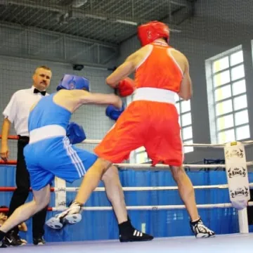 Boks królował w Radomsku