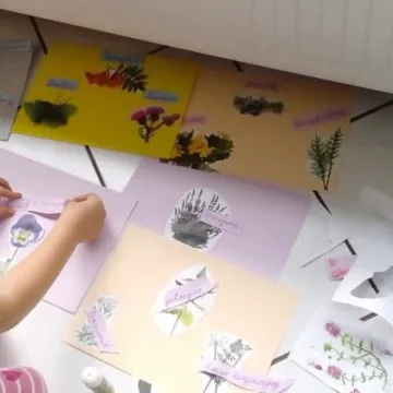 Projekt „Z poradnika młodego zielarza” rozpoczęty