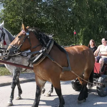 W Dziepółci dziękowali za tegoroczne plony