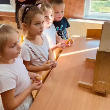 Warsztaty pszczelarskie w przedszkolu nr 4