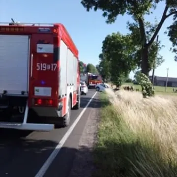 Wypadek w miejscowości Jedlno Pierwsze