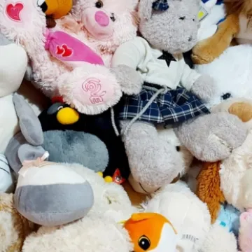 Pluszaki dla potrzebujących od kibiców