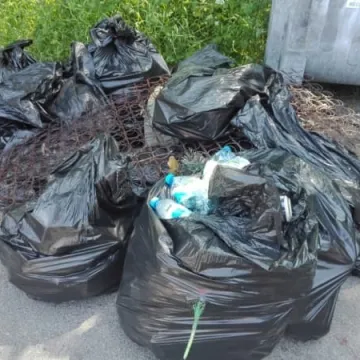 Propagują ekologię – sprzątali las na Suchej Wsi