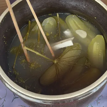 [WIDEO] Dożynki w gminie Masłowice: Tradycja, kultura i wspólne świętowanie