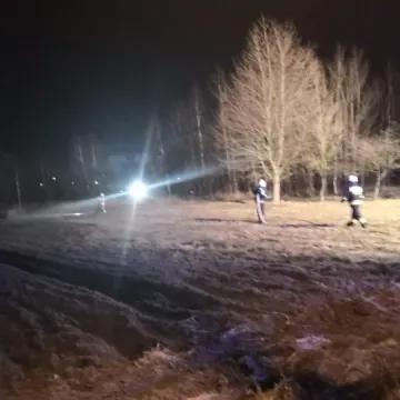 W Radomsku płonęła trawa