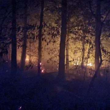 Nocny pożar lasu na Bobrach w trudno dostępnym terenie