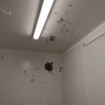 Bezmyślność czy chuligaństwo? Zniszczone toalety w Parku Glinianki