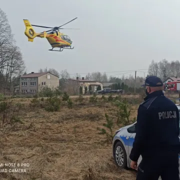 Lipie: Drzewo upadło na mężczyznę