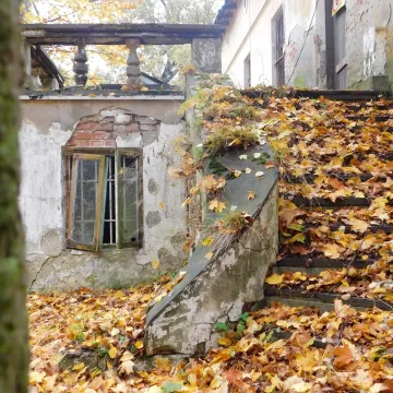 Pałac i natura w obiektywie