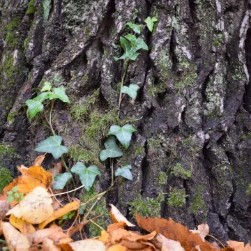 Pałac i natura w obiektywie