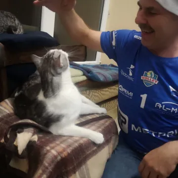 Dary dla kociaków od stowarzyszenia „Perspektywy”