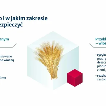 Pogodowa ruletka w rolnictwie: jak Warta odpowiada na rosnące ryzyka sezonu 2026?