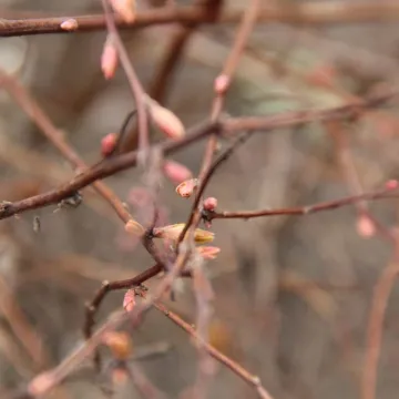 Na spacer, ale w samotności
