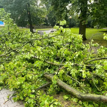 [WIDEO] Potężna nawałnica nad Radomskiem. Strażacy już w akcji