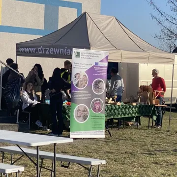 270 osób wzięło udział w Biegu Stolarza w Radomsku