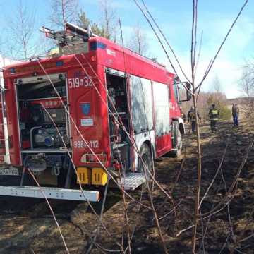 Trzy wyjazdy jednego dnia strażaków z Wielgomłyn do pożarów suchych traw