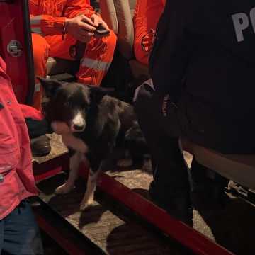 [WIDEO] 45 strażaków, 2 psy. Bilans poszukiwań zaginionego mężczyzny z Przedborza