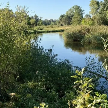 Wielkie sprzątanie w Przedborzu. Pilica odzyskała blask
