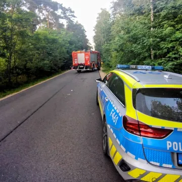 Sprawca wypadku w Grobli spędzi 3 miesiące w areszcie