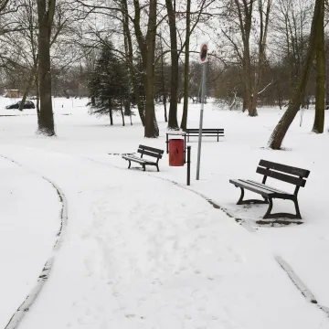 Piotrków Tryb. Przetarg na park Belzacki rozstrzygnięty