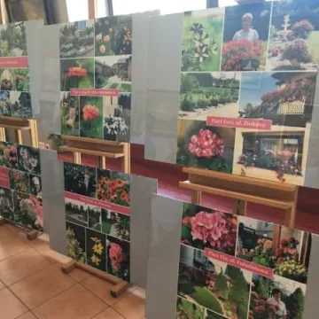 Laureaci konkursu „Mój dom cały w kwiatach”