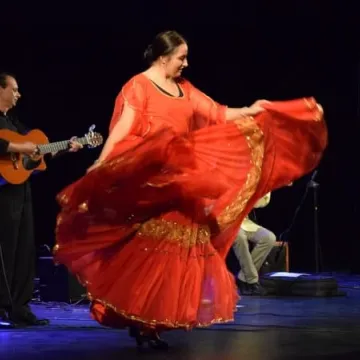 Kultura romska w MDK